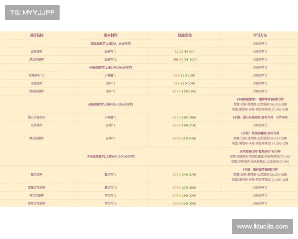 魔兽世界怀旧服：奶骑士升级攻略大揭秘